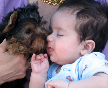 kiss the baby